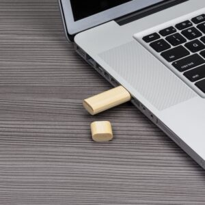 Pen Drive Bambu 4GB-00038-4gb