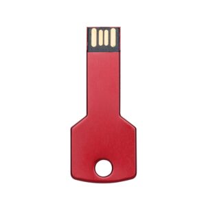 Pen Drive Chave 4GB/8GB-00024-4GB/8GB